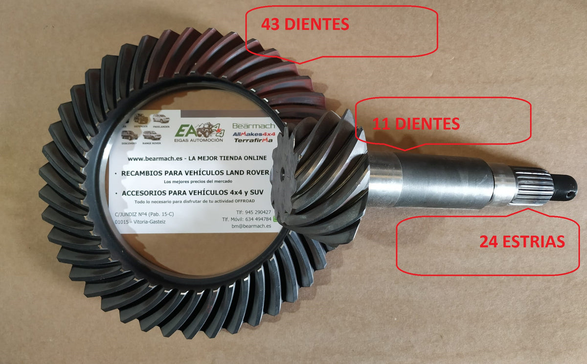 Crown wheel & pinion assy - rear Diff.