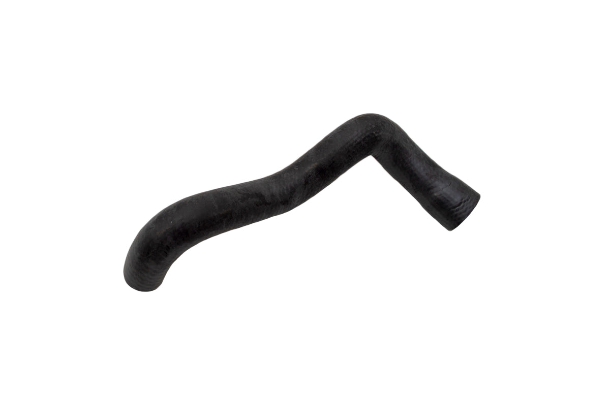 Lower Hose - Radiator - ALLMAKES