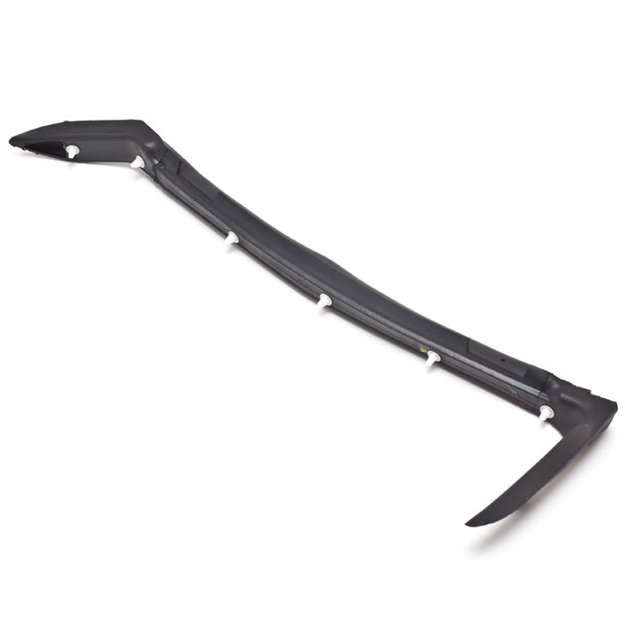 Weatherstrip - door lh