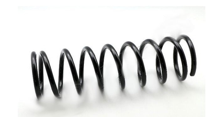 Rear Springs Nissan Terrano II