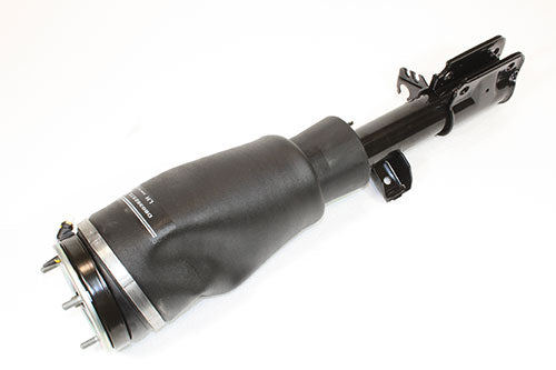 Front Shock absorber assembly - LH