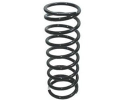 Coil spring - Left - Front - ALLMAKES