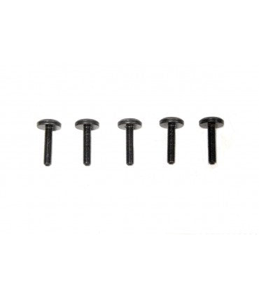 Screw