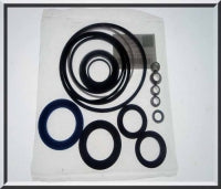 Seal Kit PAS