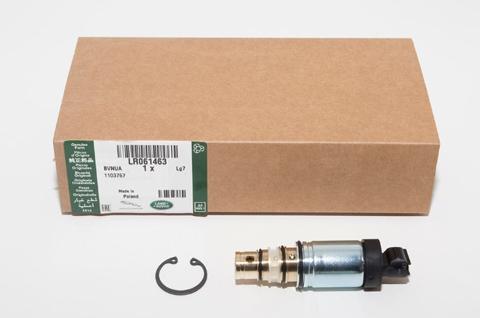 Kit - Valve Repair