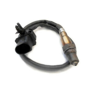 HEGO Sensor