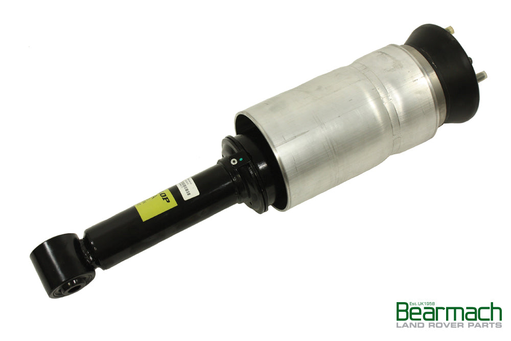 Complete Front Shock Absorber - Air Spring and Shock Absorber - DUNLOP