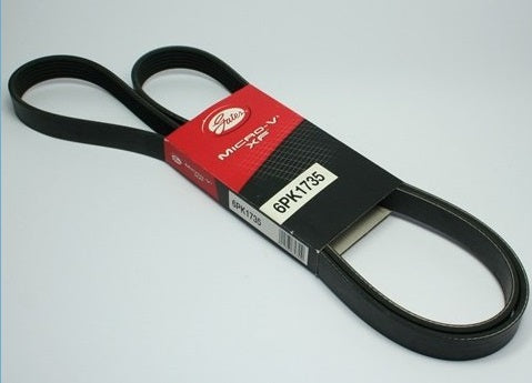 Drive Belt