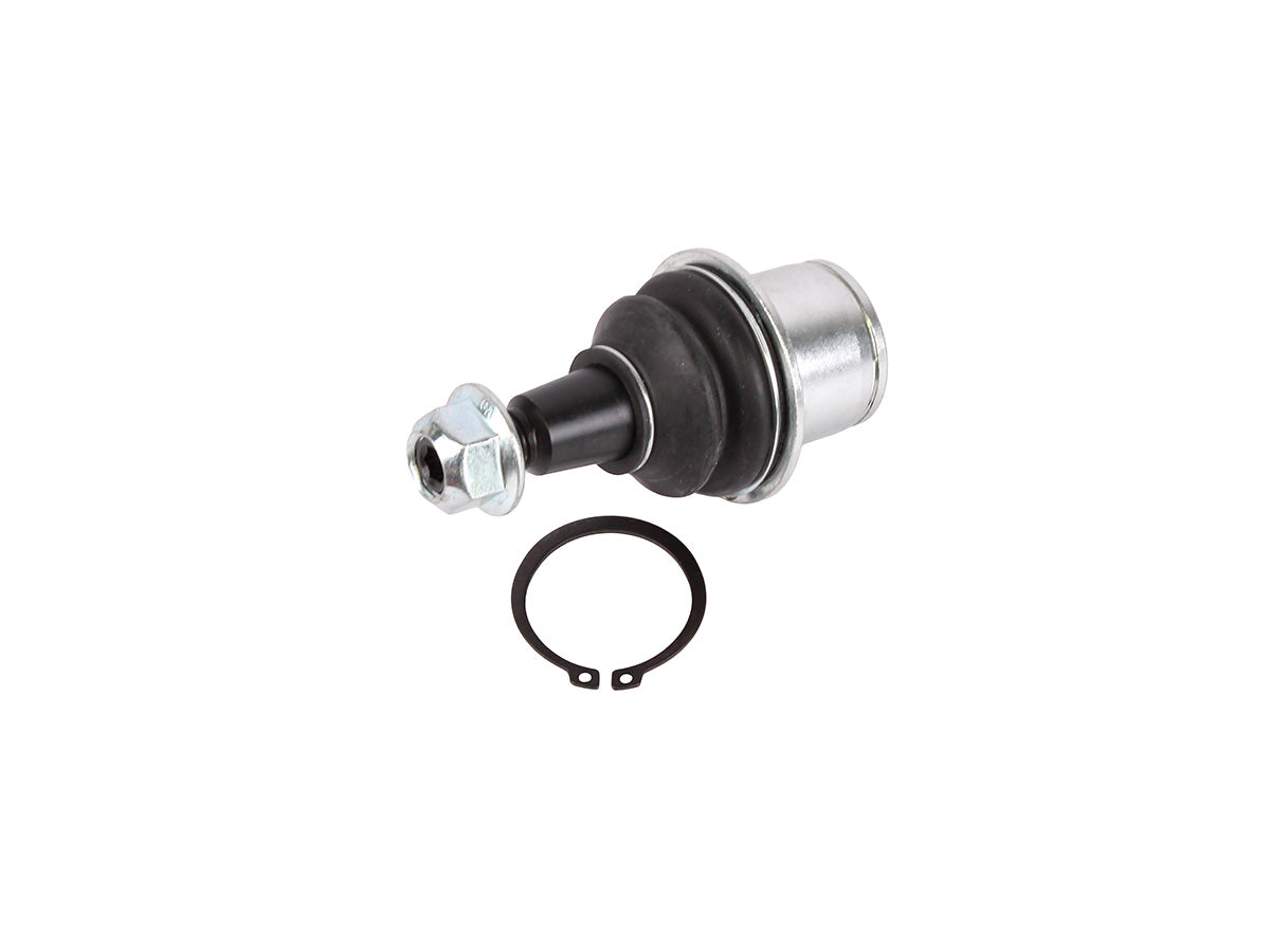 Lower ball joint assy - PROEVO+
