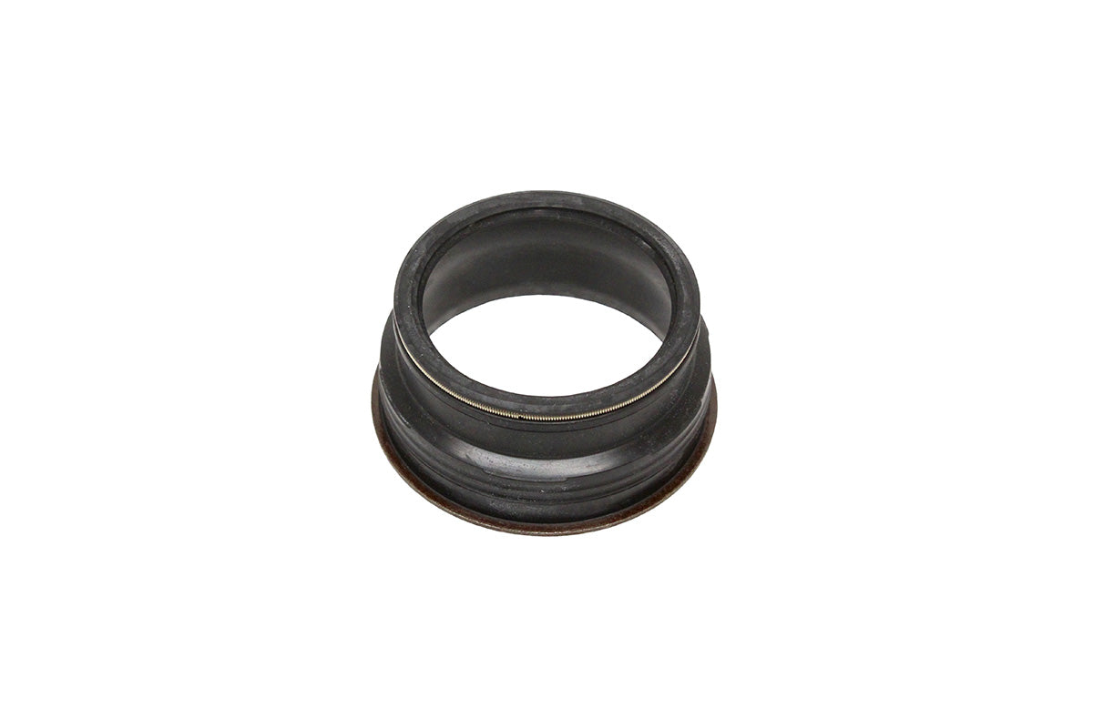 Gasket - Valve - O.E.M.