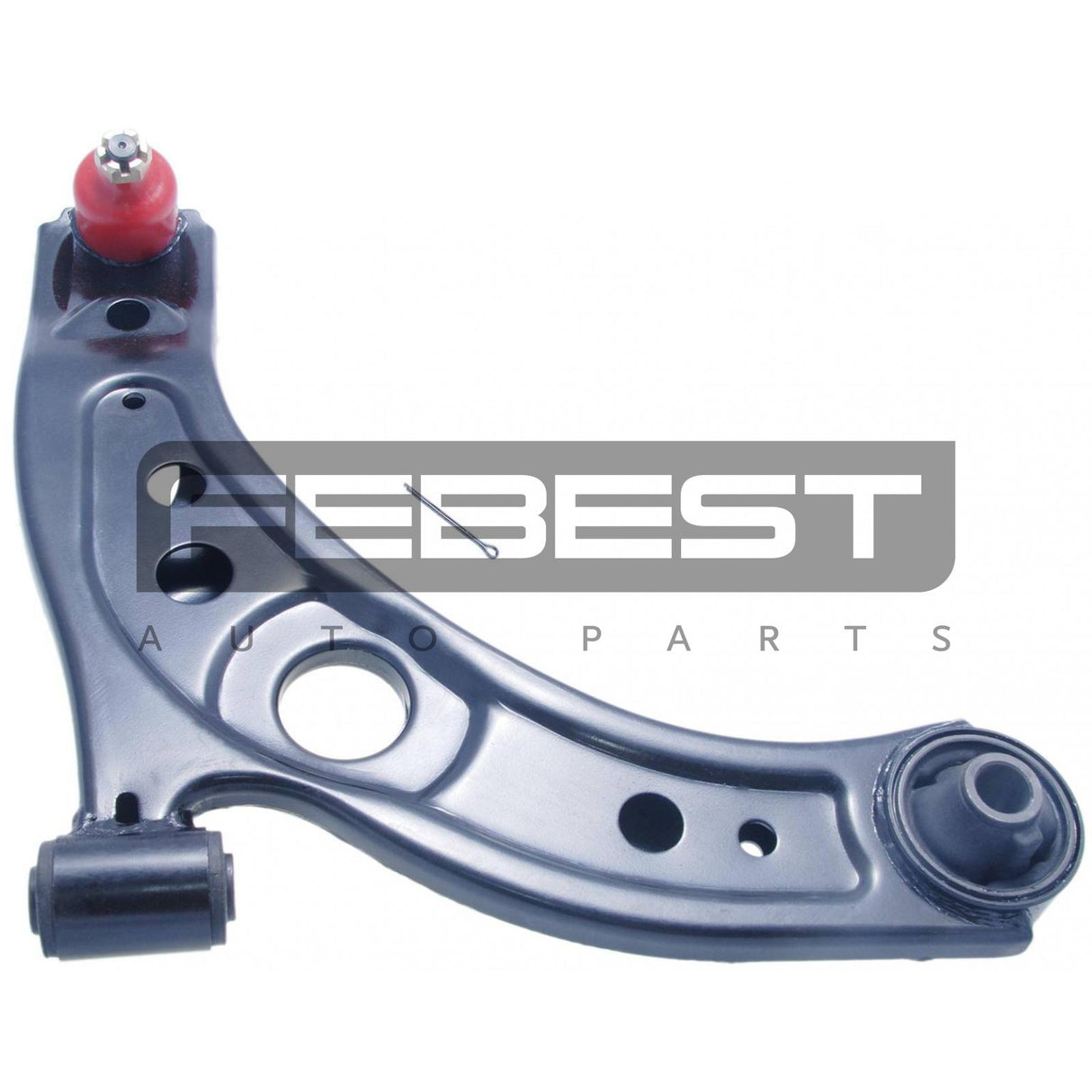 Right lower front arm