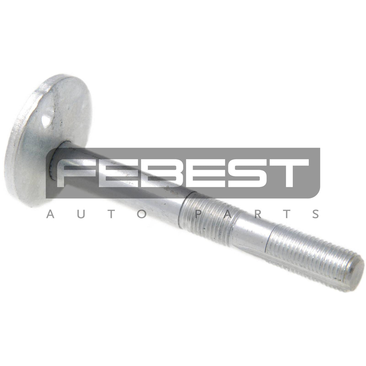 Camber adjusting eccentric bolt