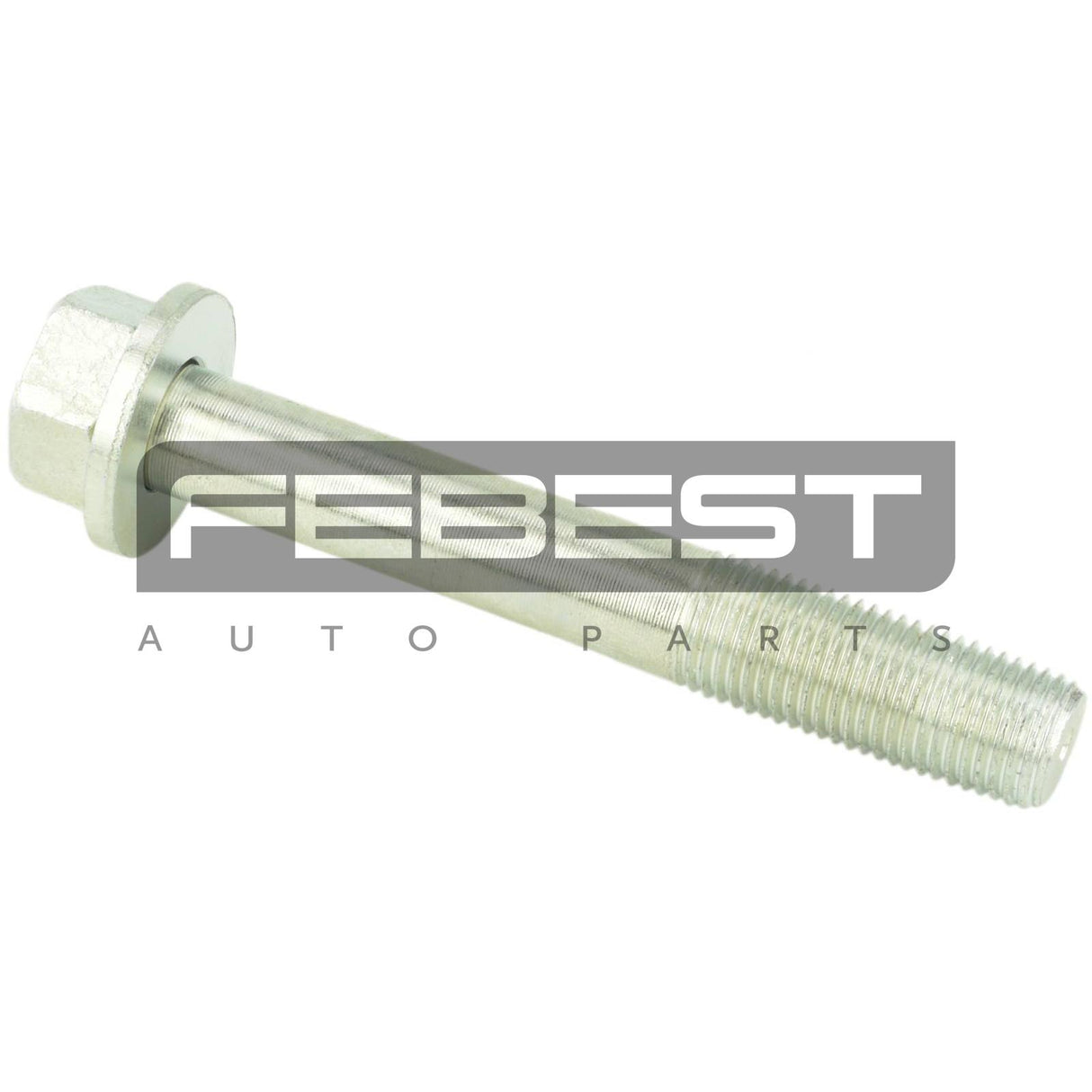 Suspension arm bolt w/ washer