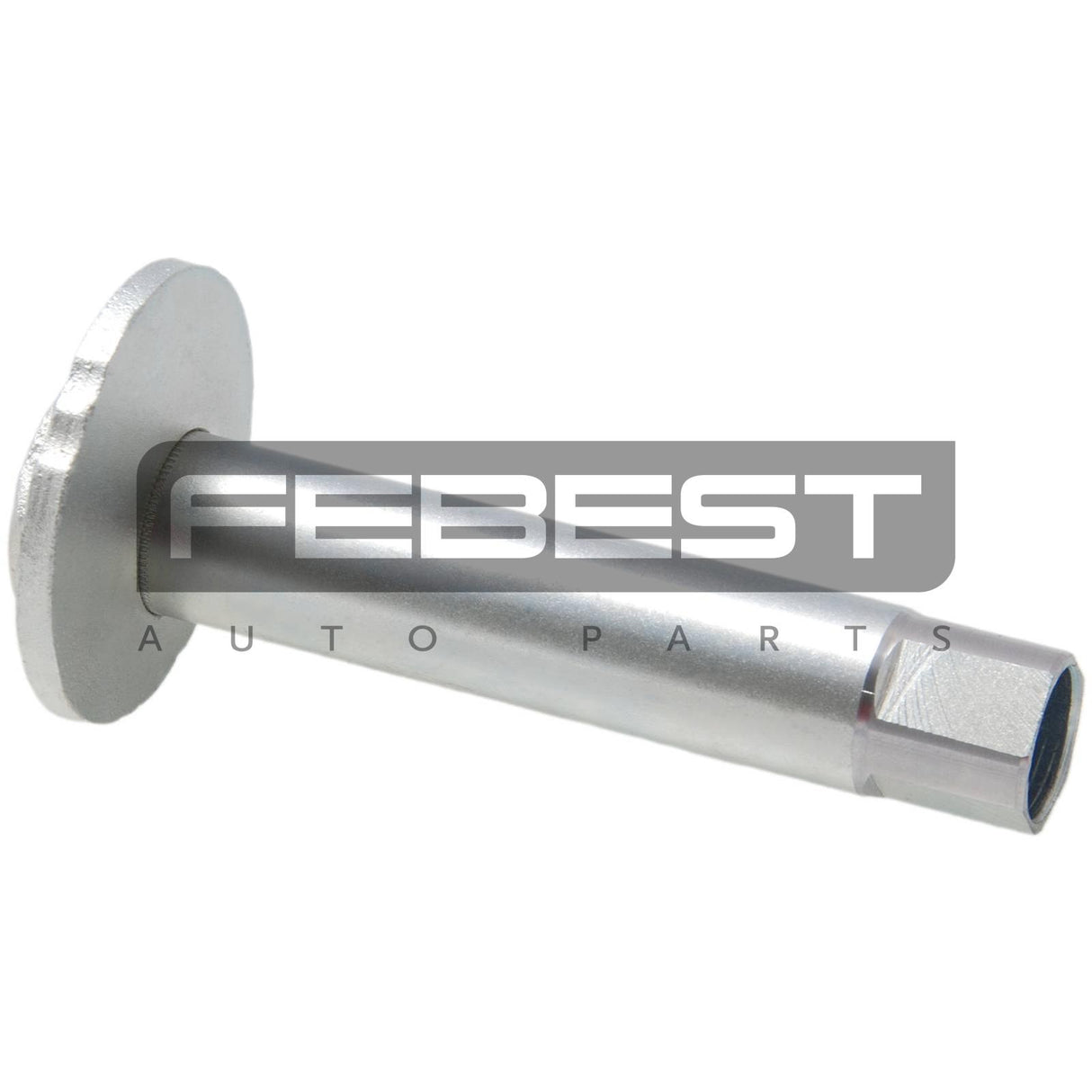 Cam sub-assembly