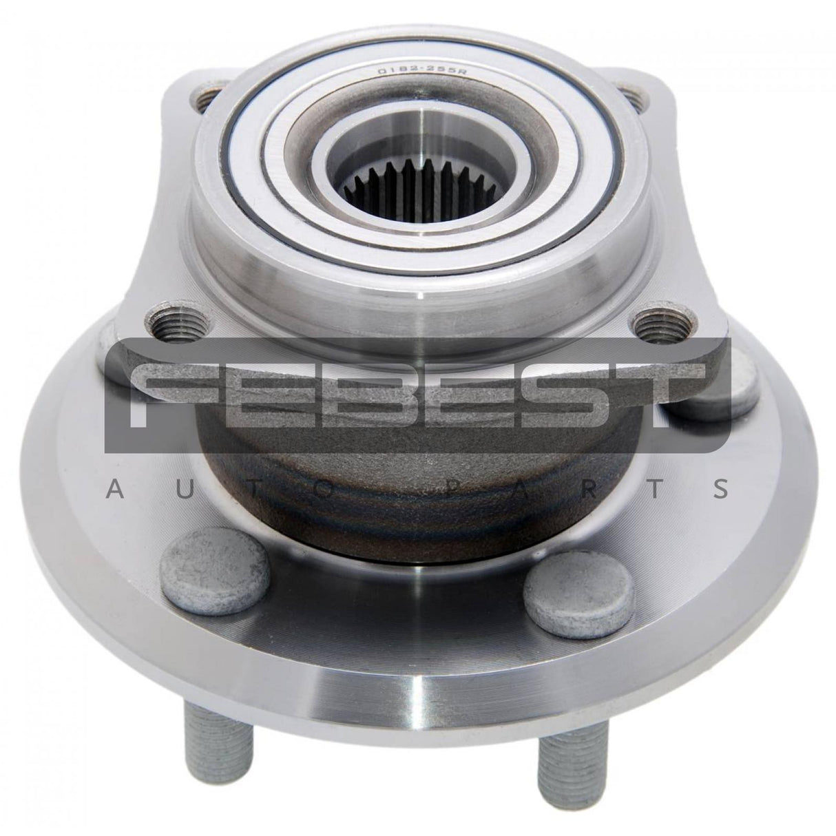 Rear wheel hub