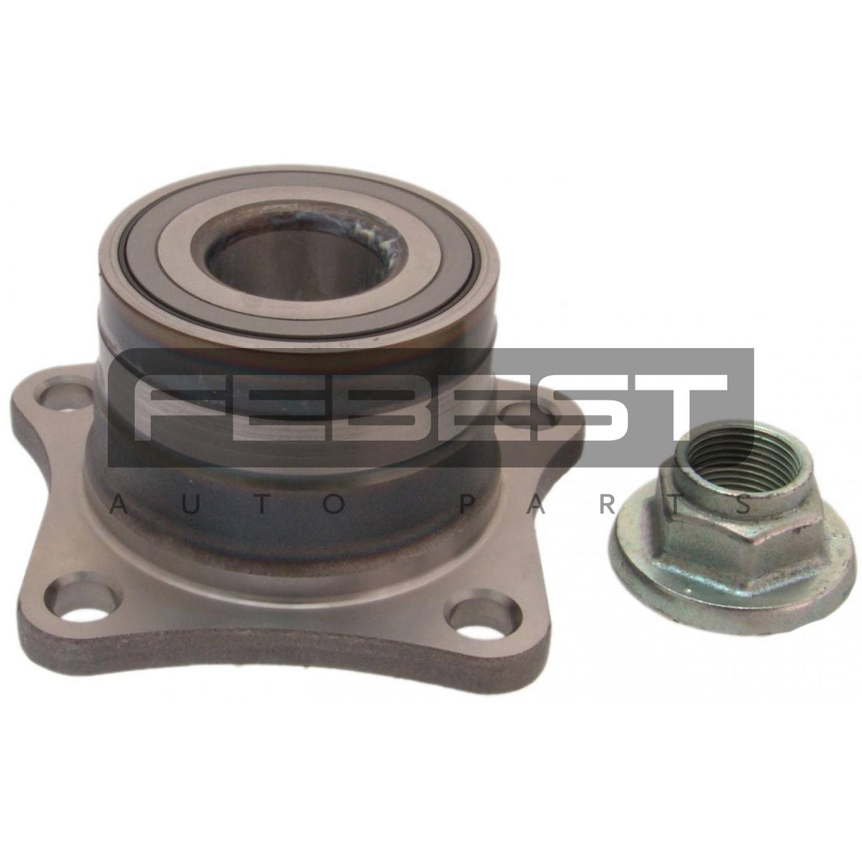 Rear wheel hub kit