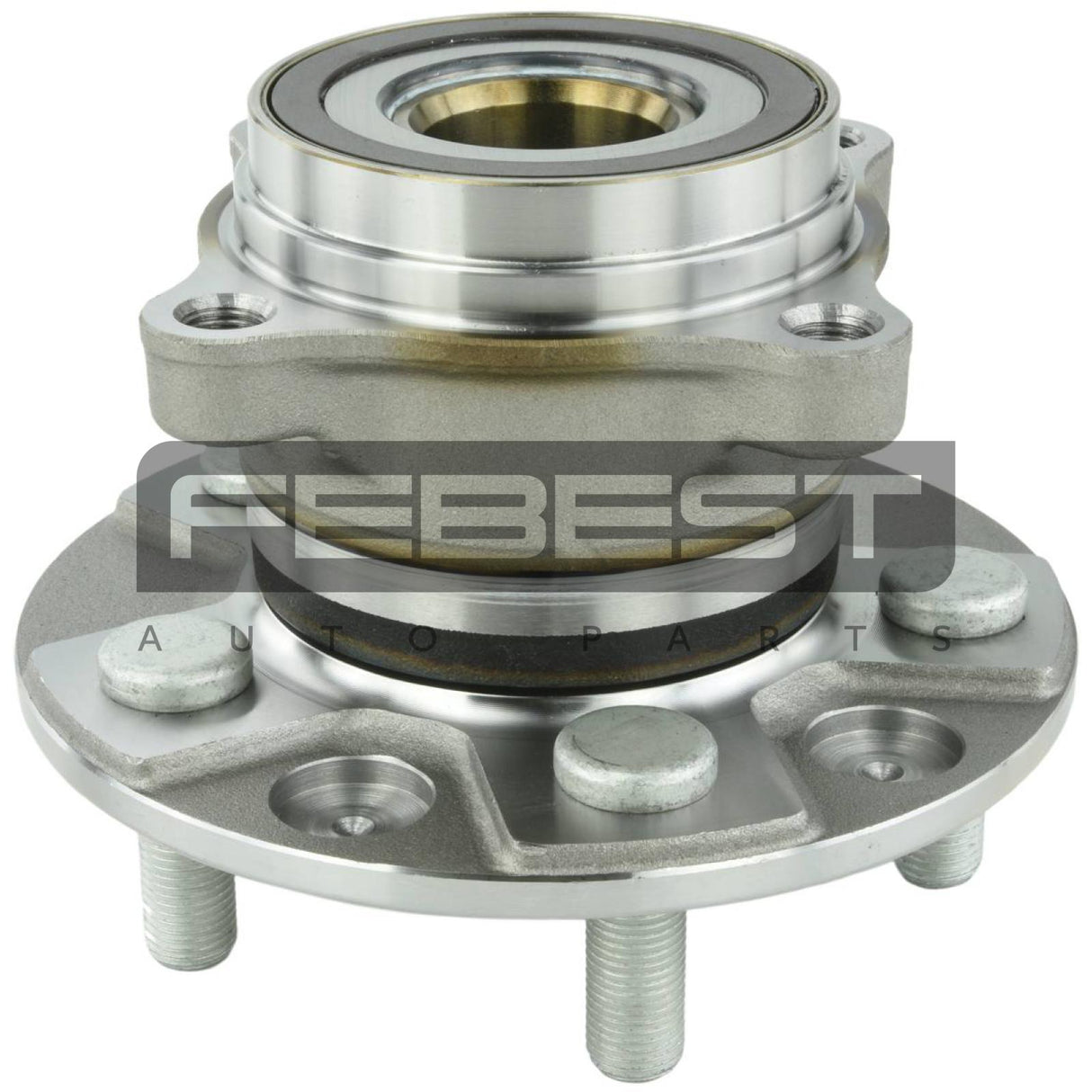 Rear wheel hub