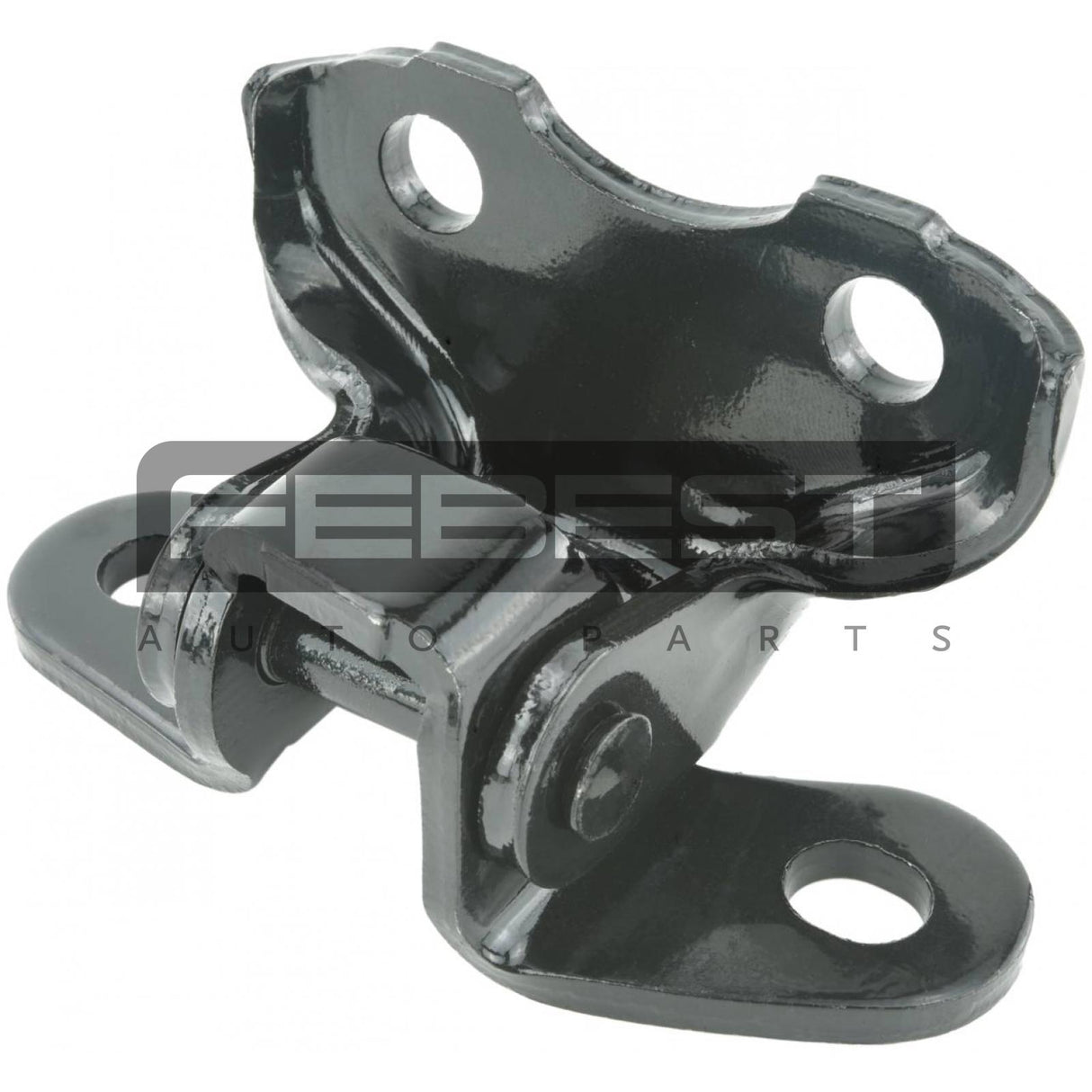 Front left door lower hinge