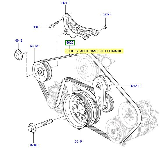 Drive Belt