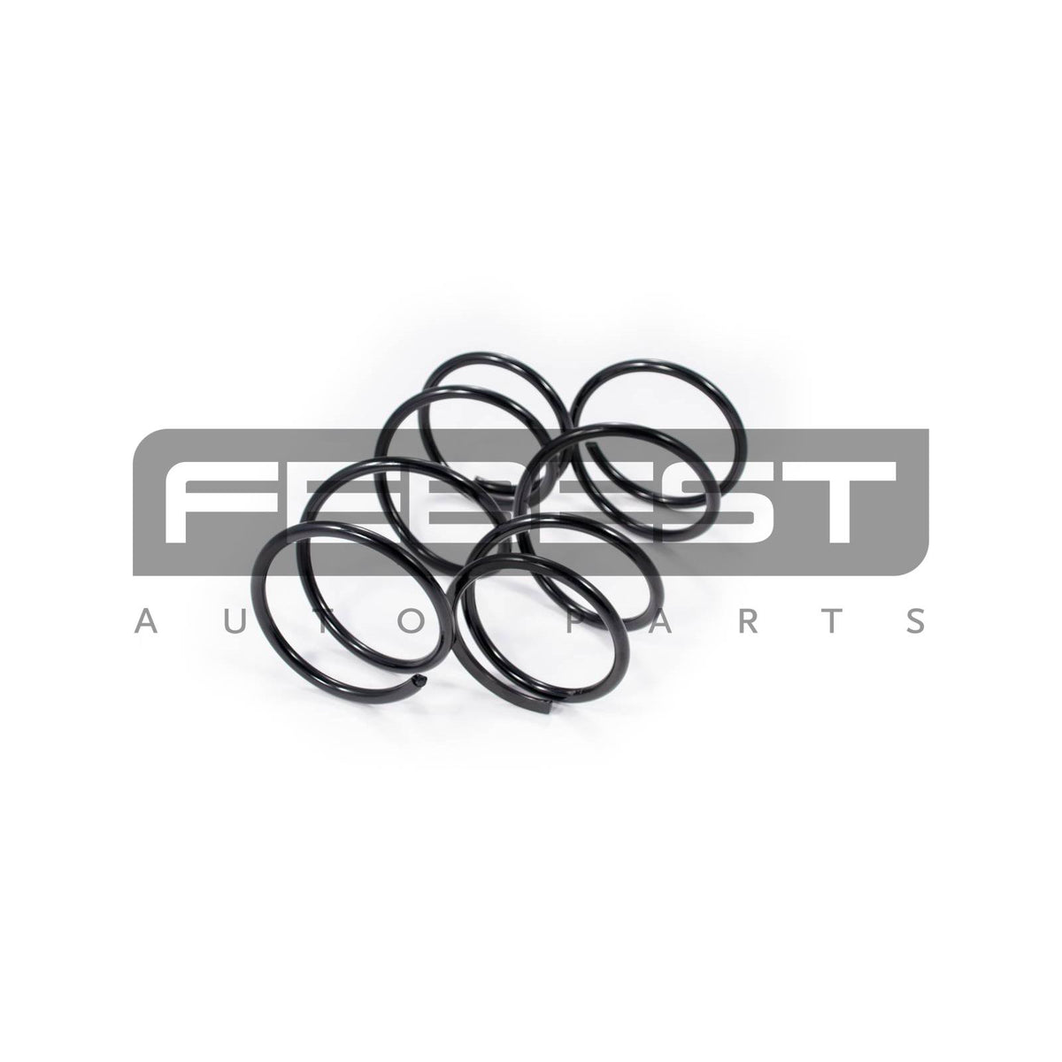 Front coil spring kit - FEBEST