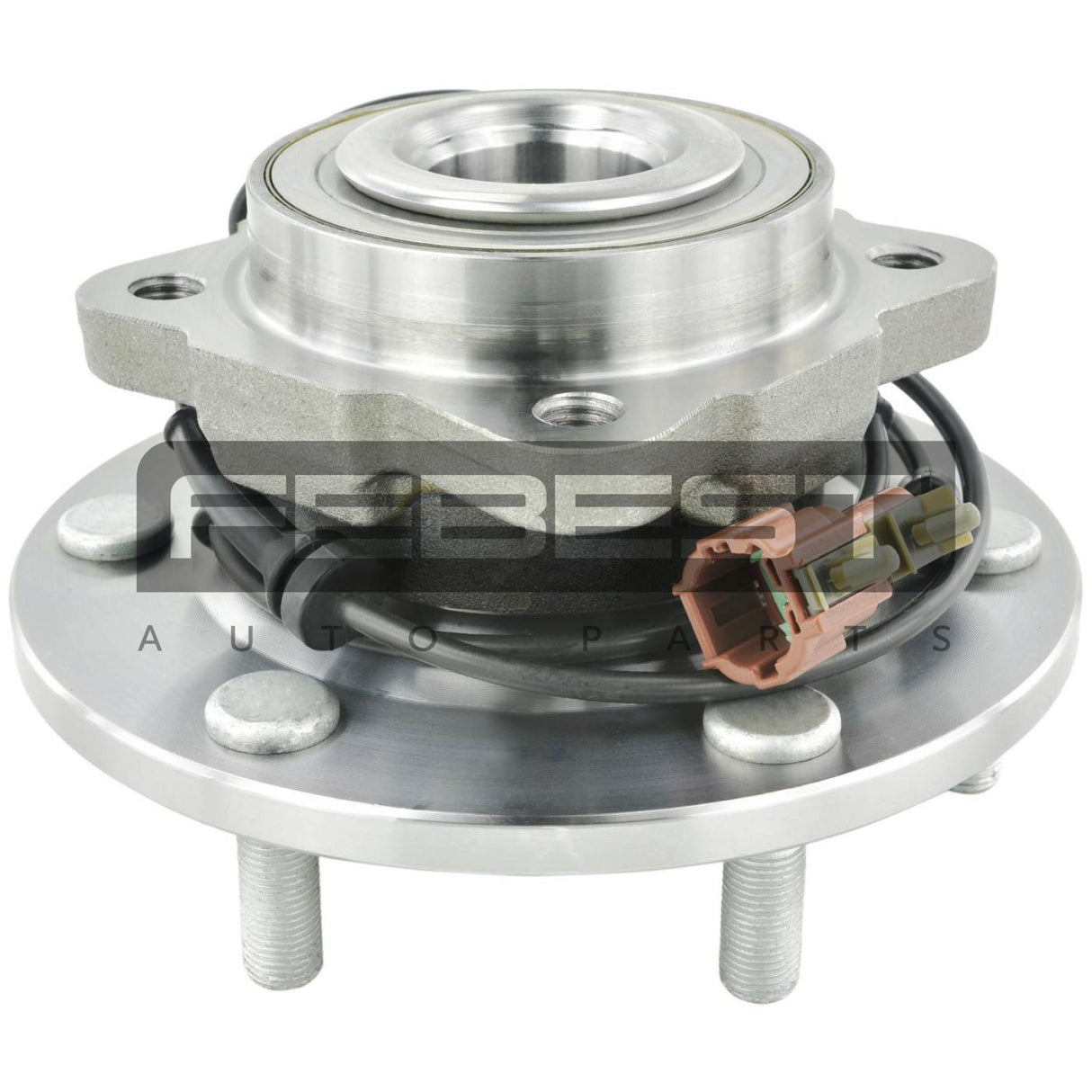 Rear wheel hub