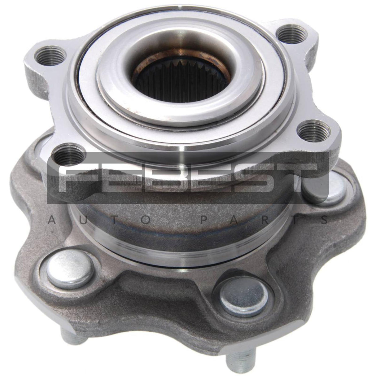 Rear wheel hub