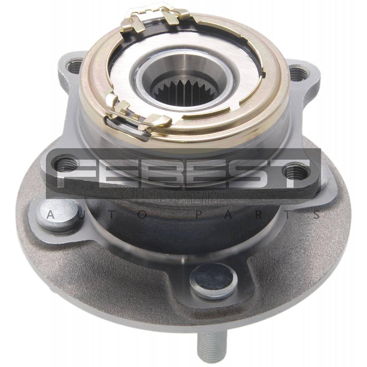 Rear wheel hub