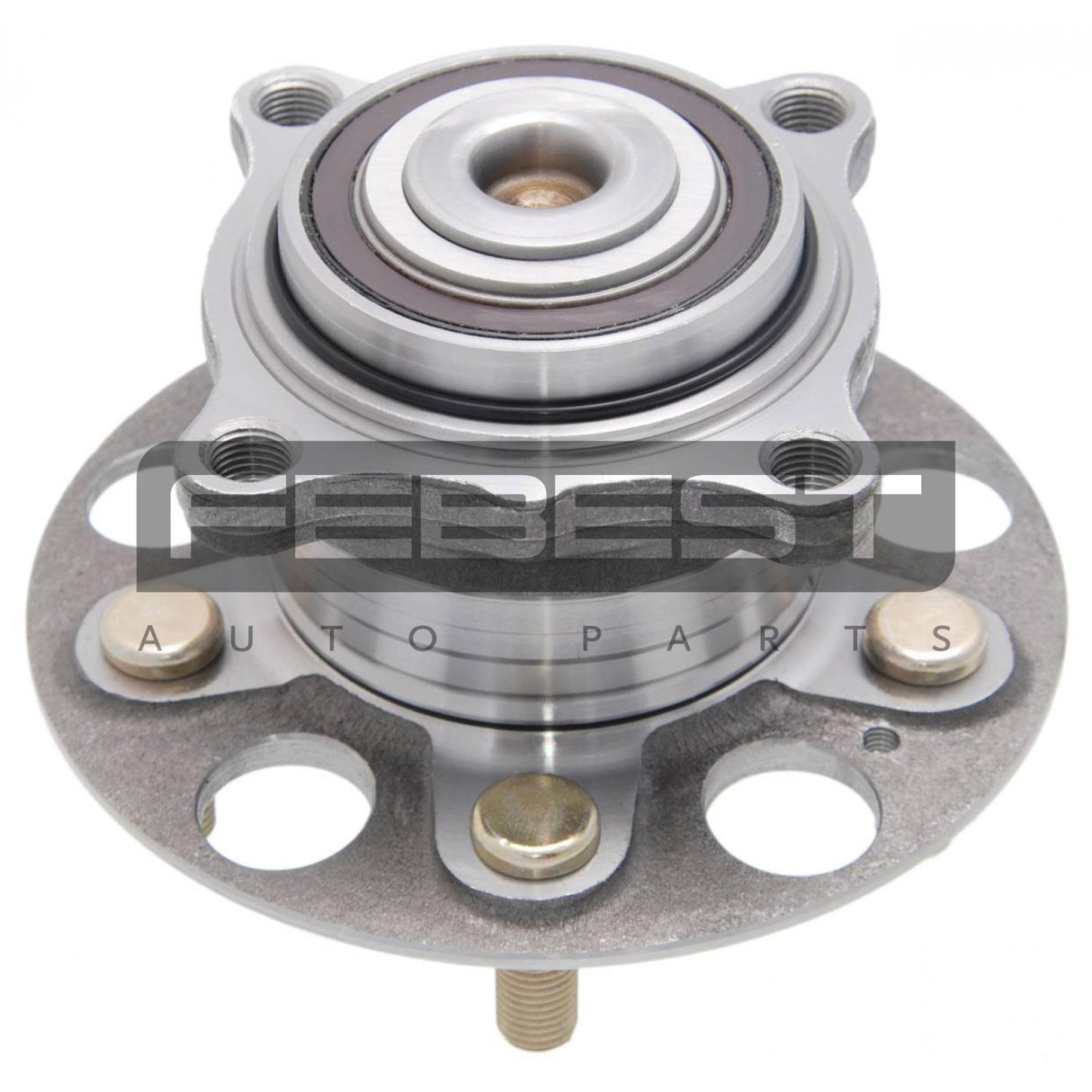 Rear wheel hub