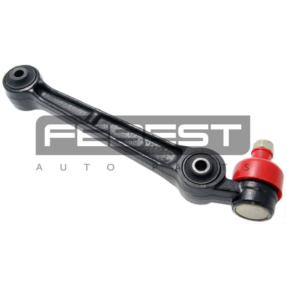 Left lower front arm