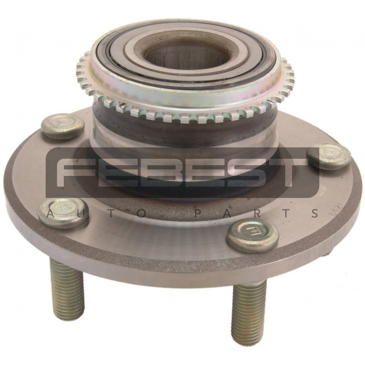 Rear wheel hub
