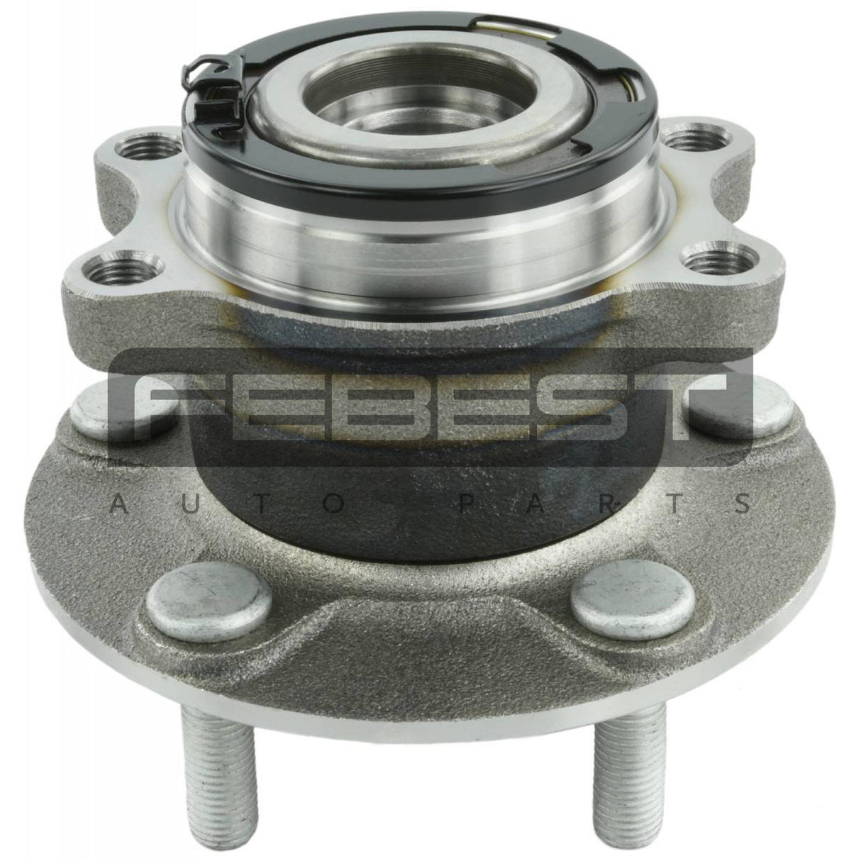 Rear wheel hub