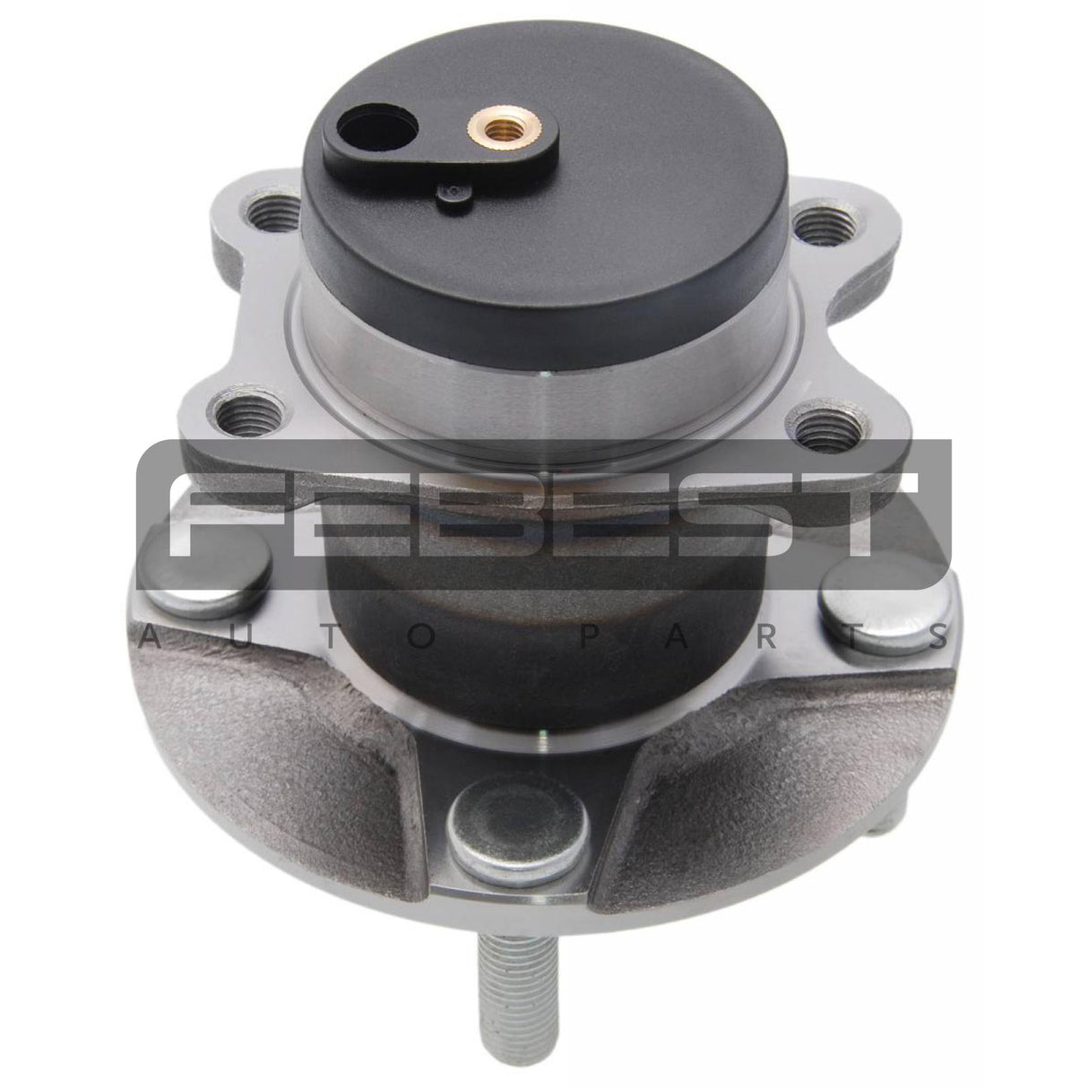 Rear wheel hub