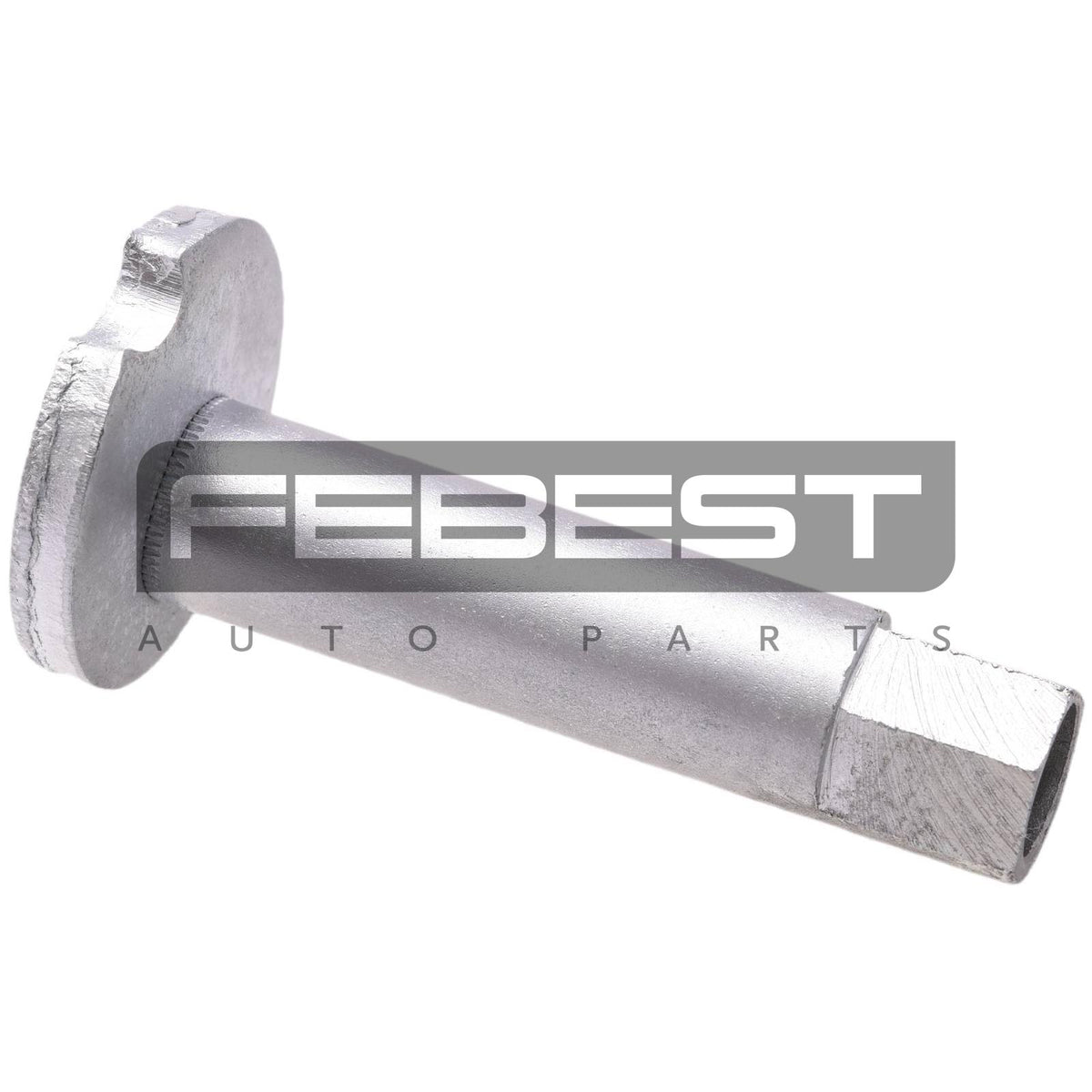Cam sub-assembly - FEBEST