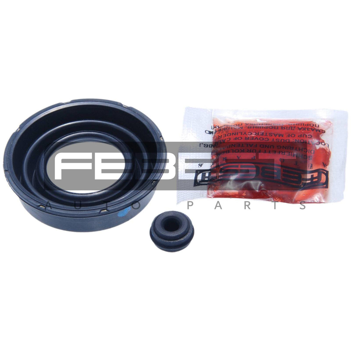 Rear brake caliper repair kit