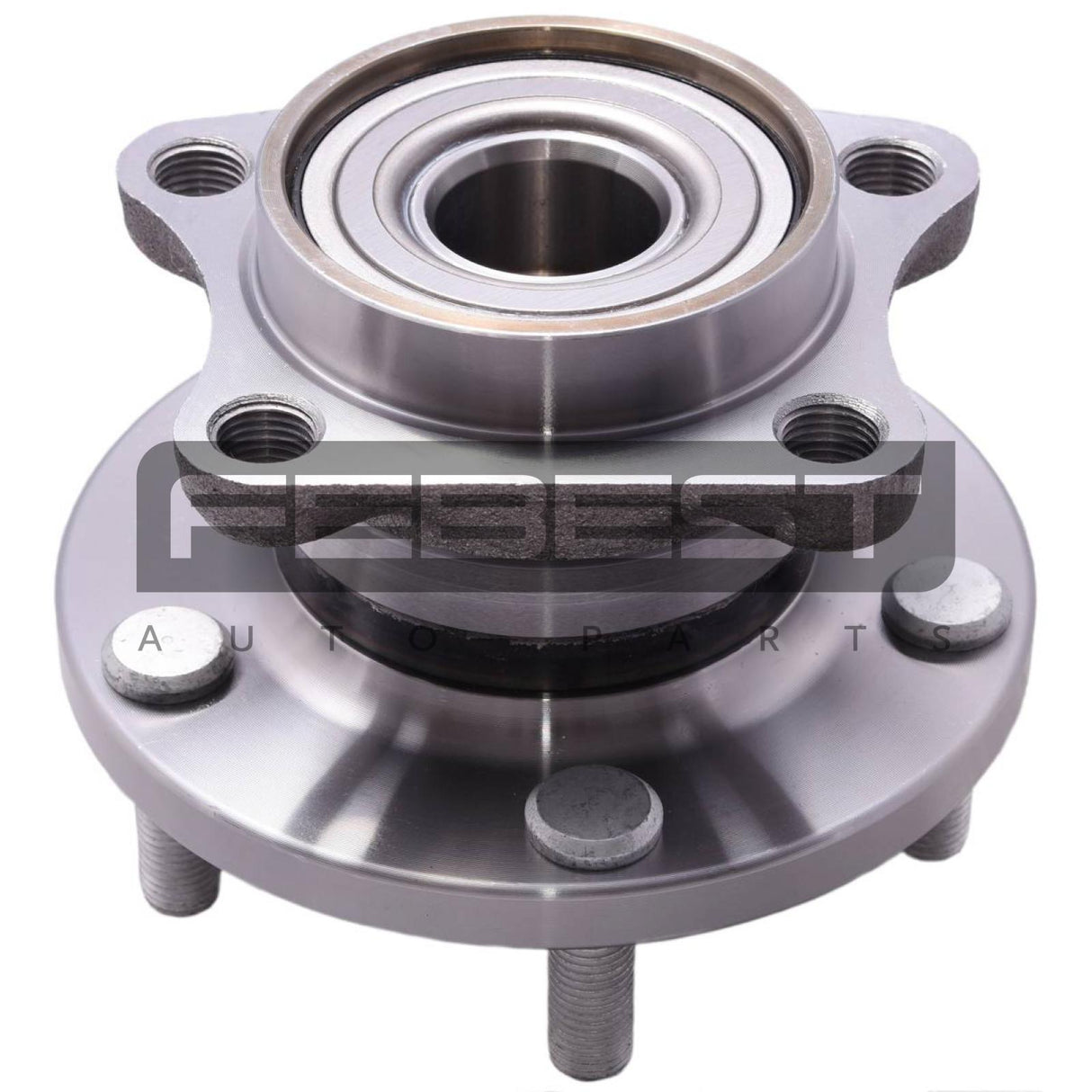 Rear wheel hub
