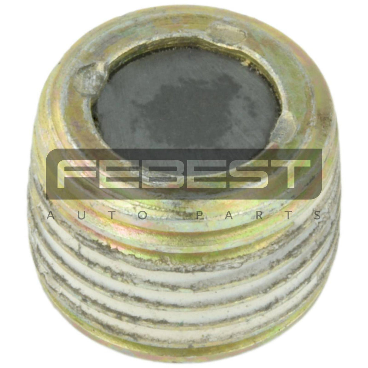 Oil casing drain plug