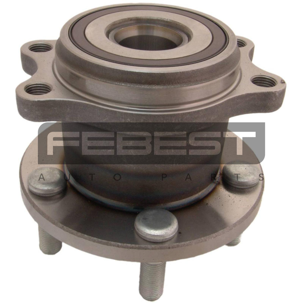 Rear wheel hub
