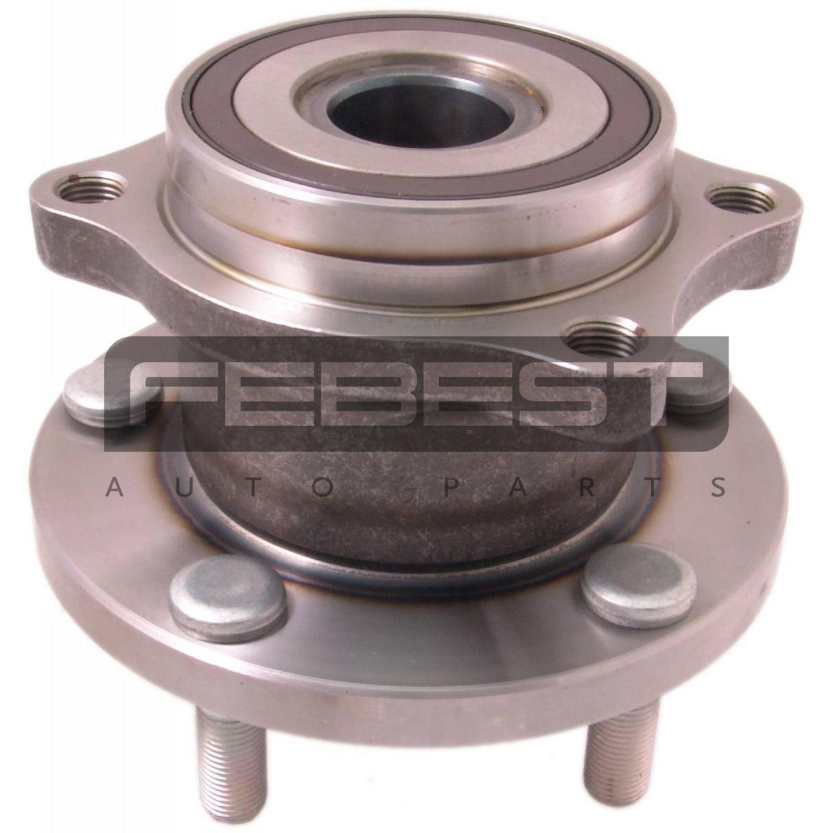 Rear wheel hub