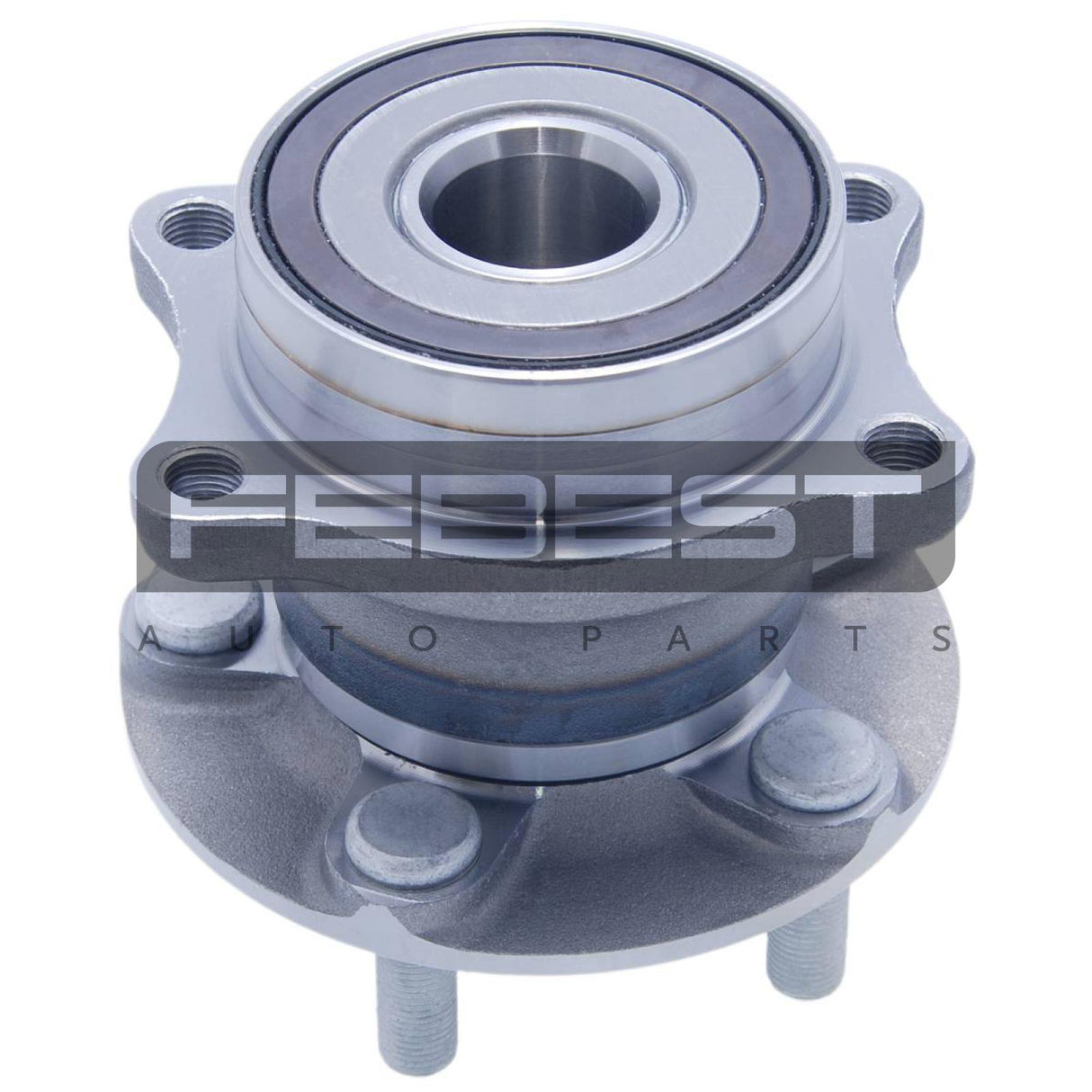 Rear wheel hub