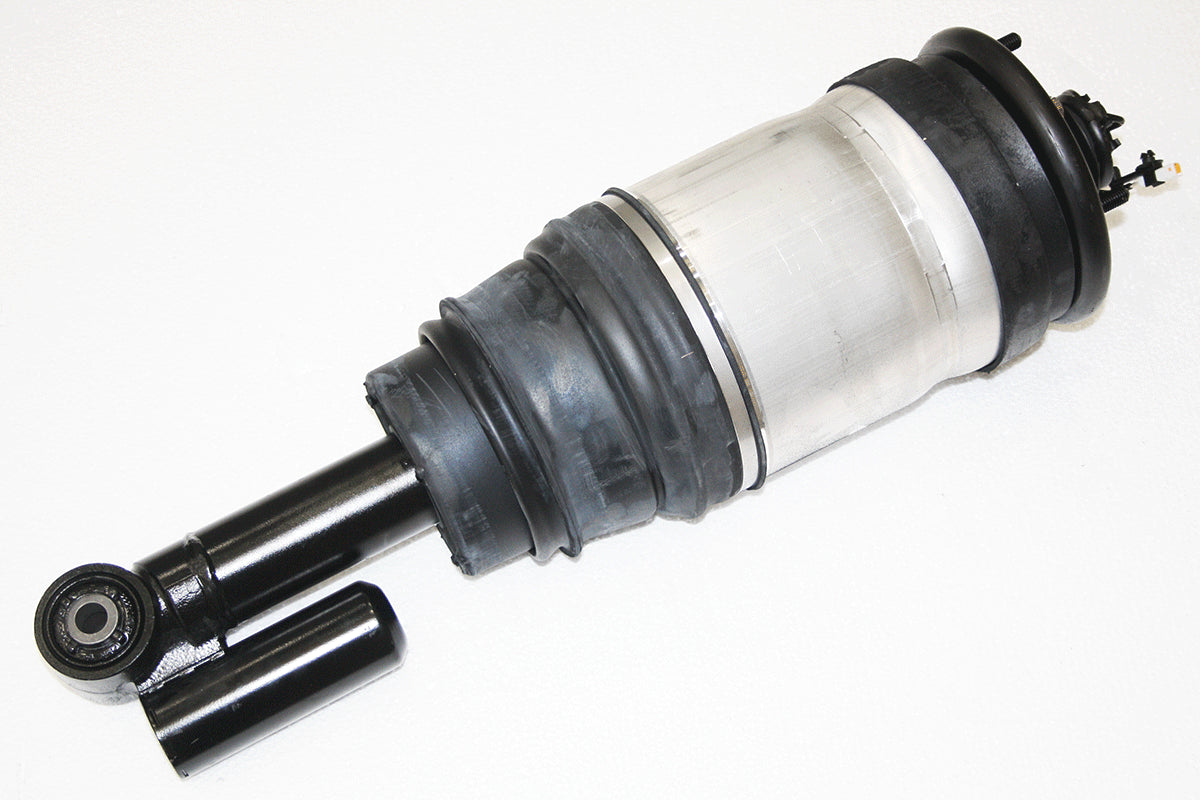 Complete Left Rear Shock Absorber