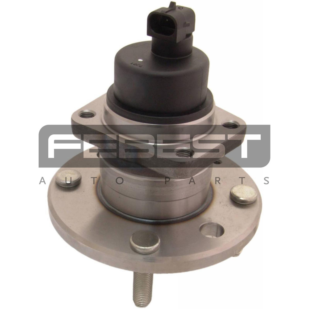 Rear wheel hub