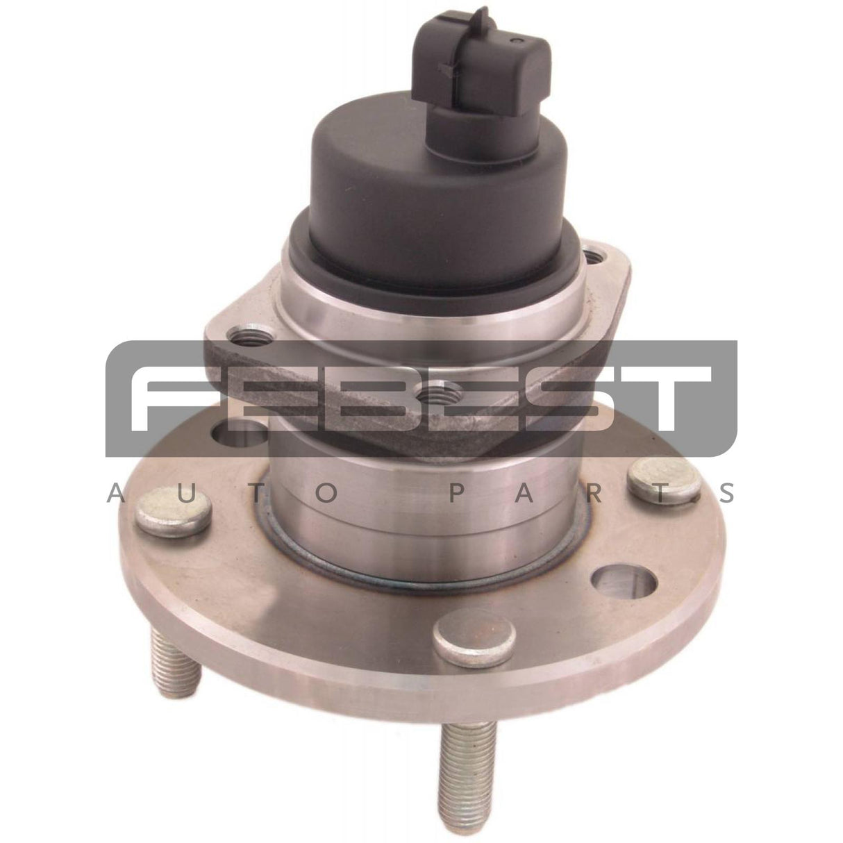 Rear wheel hub