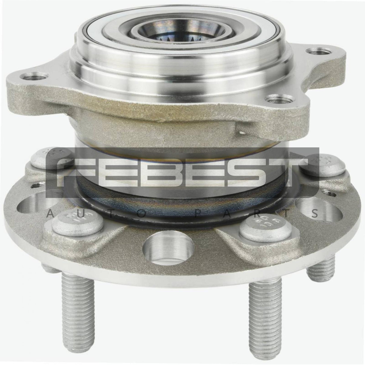Rear wheel hub