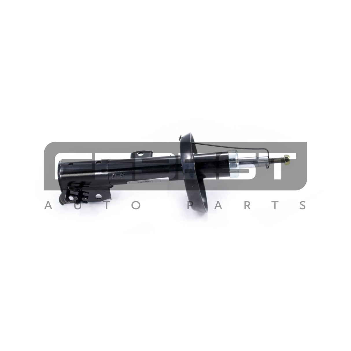 Front left shock absorber, gas pressure