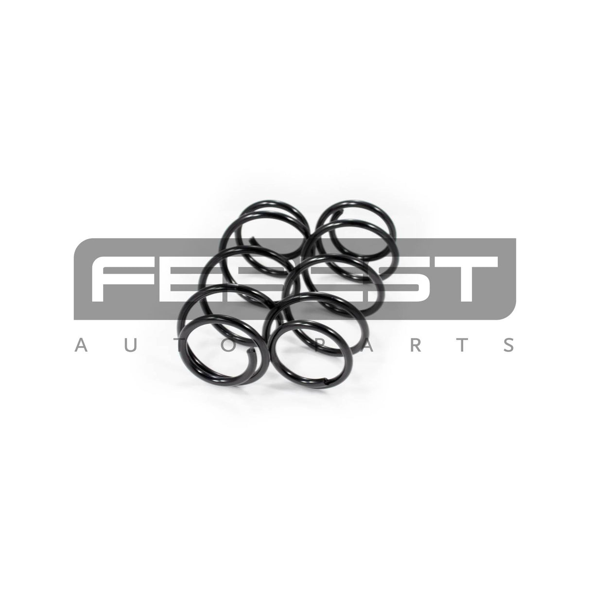 Front coil spring kit