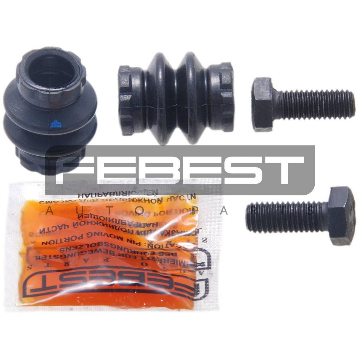 Rear brake caliper repair kit
