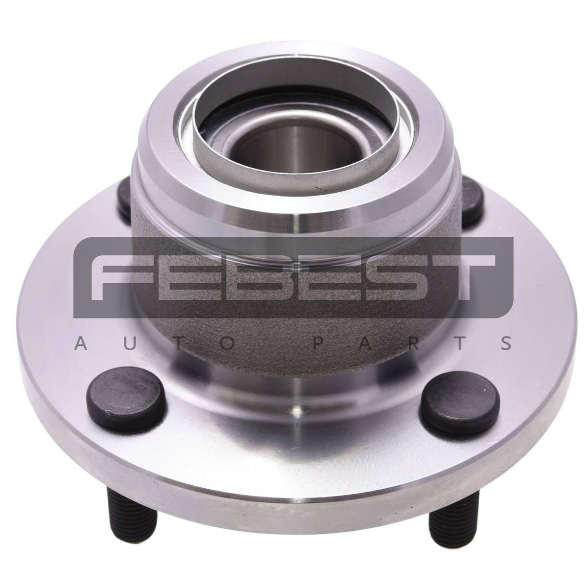 Rear wheel hub - FEBEST