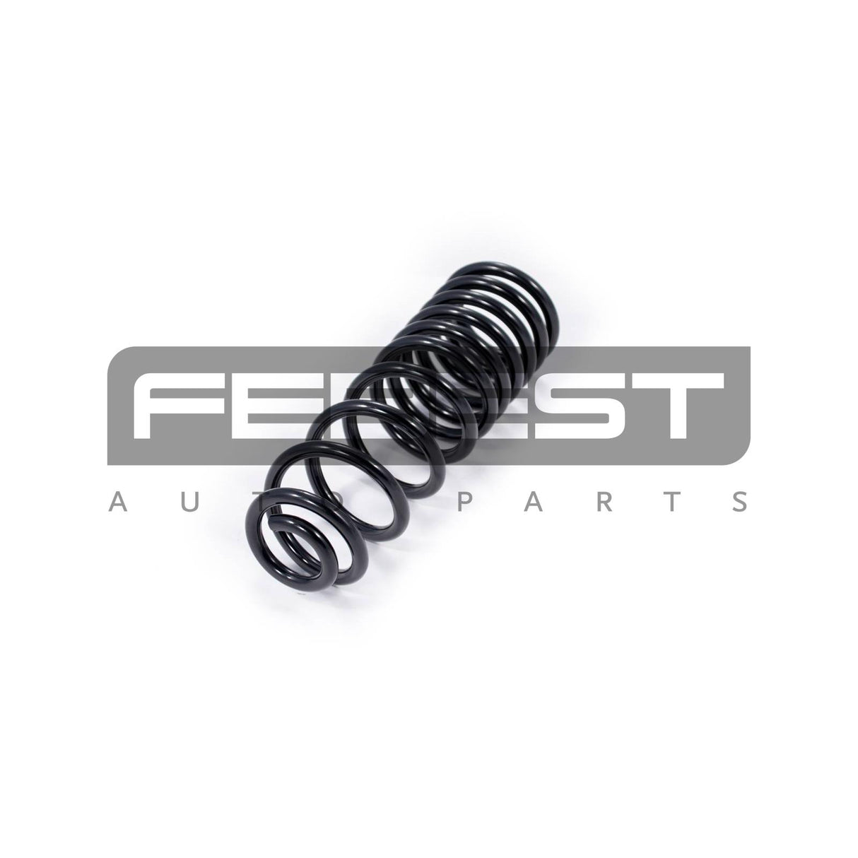Rear coil spring