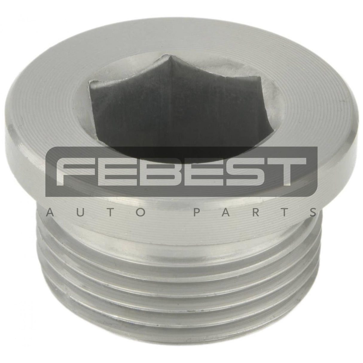 Oil casing drain plug