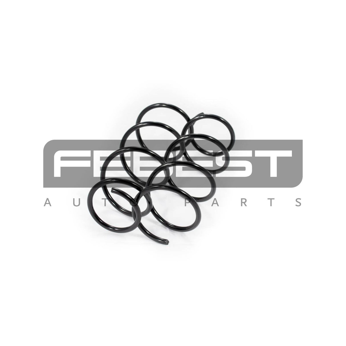 Front coil spring kit